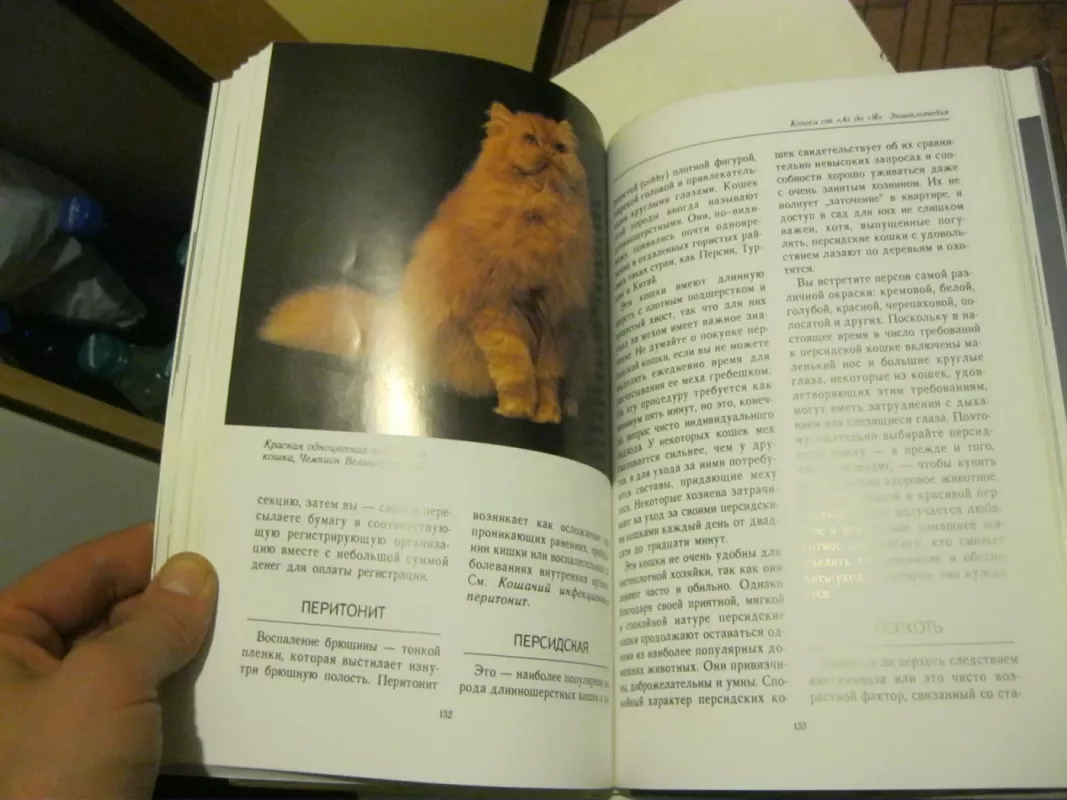 Кошки от "А" до "Я" - Макхэтти Грейс, knyga 5