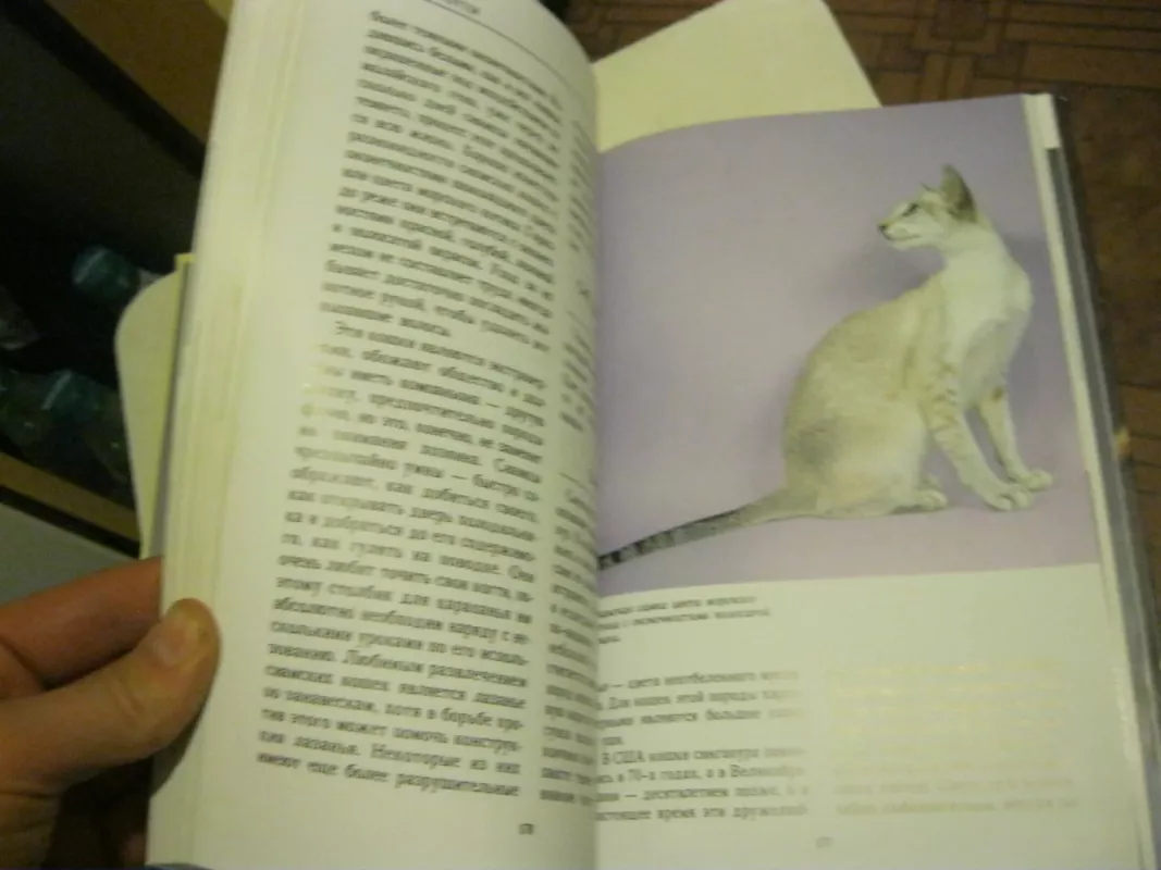 Кошки от "А" до "Я" - Макхэтти Грейс, knyga 4