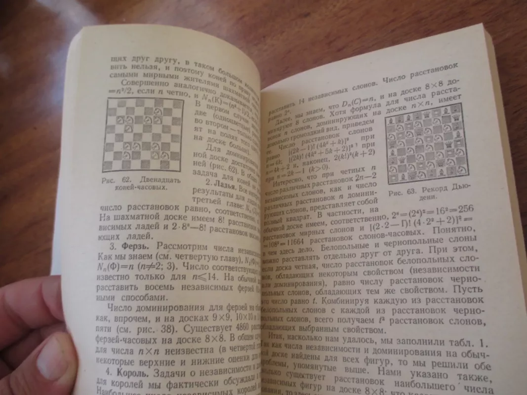 Шахматы и математика - Е. Гик, knyga 5