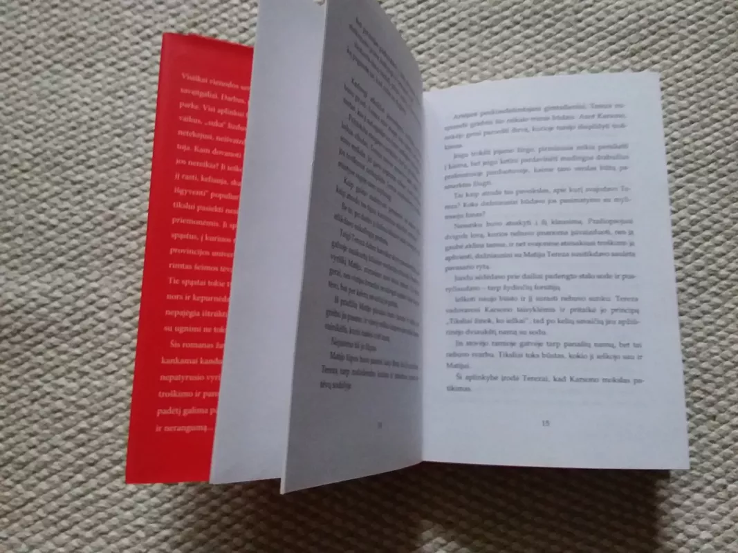 Žaidimas su ugnimi - Claudia Keller, knyga 3