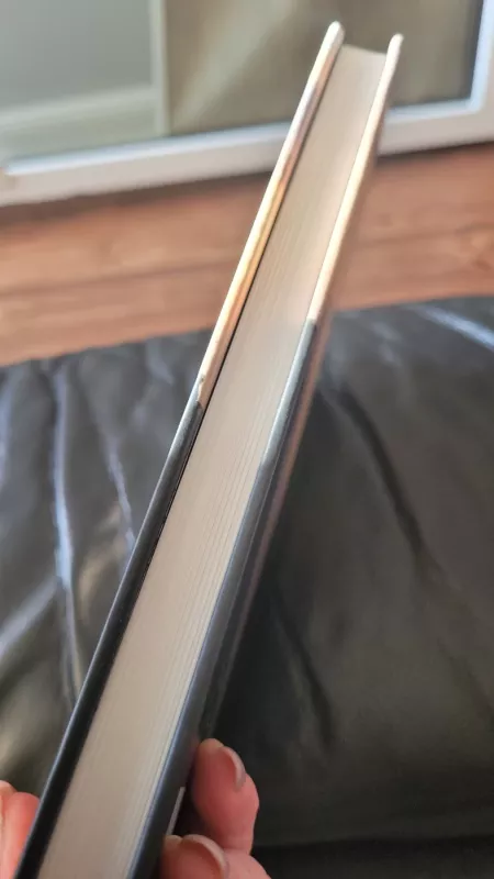 PIrminės šventės - Audronė Ilgevičienė, knyga 3