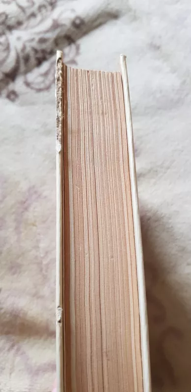 Suomių novelės - Autorių Kolektyvas, knyga 4