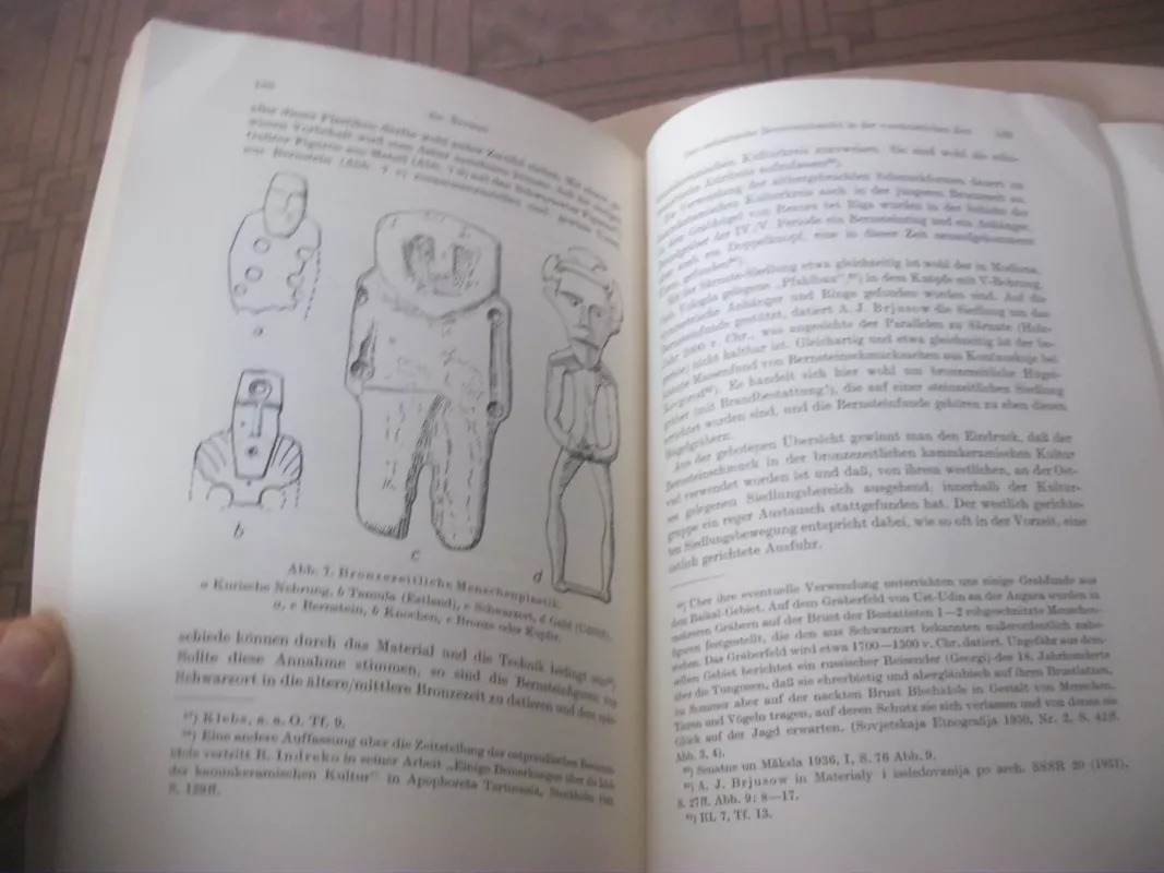 Commentationes Balticae I tomas - Autorių Kolektyvas, knyga 4