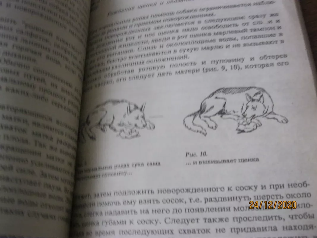 Для любимой собаки - Анатолий Баранов, knyga 6