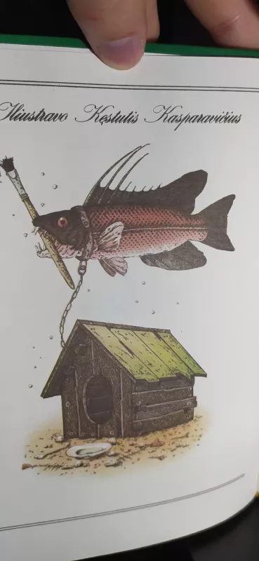 Ko verkė plekšnytė - Aloyzas Každailis, knyga 6