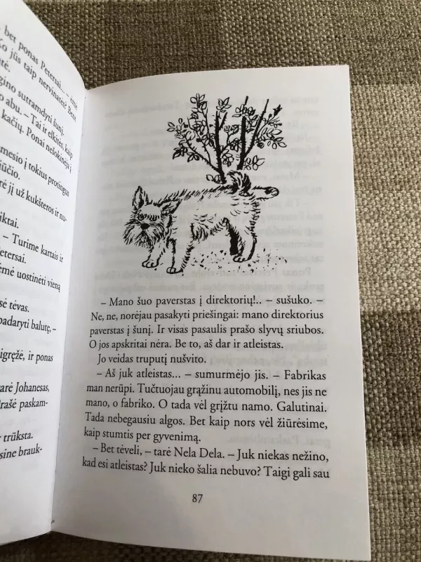 Viplala grįžta - Annie M. G. Schmidt, knyga 5