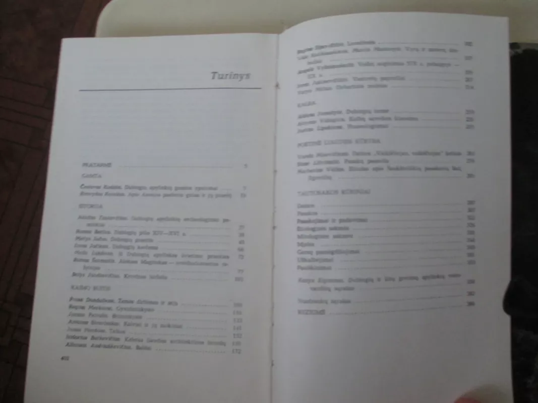 Dubingiai - Autorių Kolektyvas, knyga 4