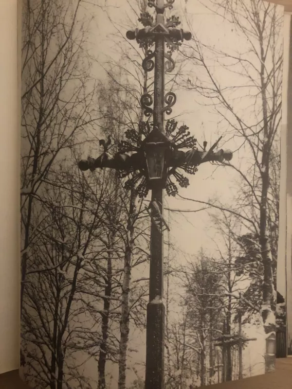 Lietuvių liaudies menas: Mažoji architektūra (II knyga) - Autorių Kolektyvas, knyga 3