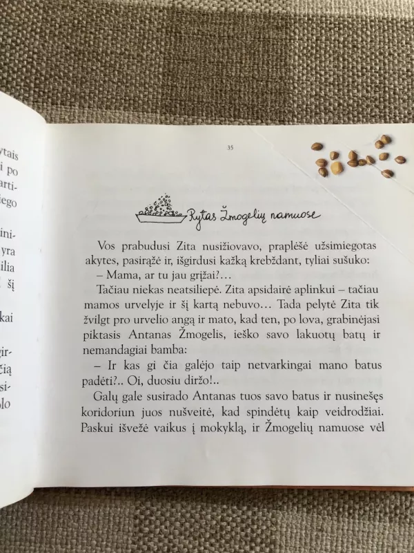 Pelytė Zita - Vytautas Landsbergis, knyga 5