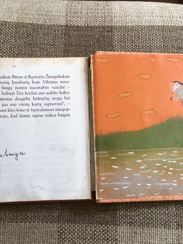 Pelytė Zita - Vytautas Landsbergis, knyga 6