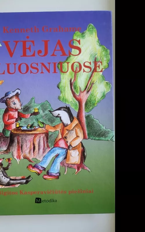 Vėjas gluosniuose - Kenneth Grahame, knyga 2