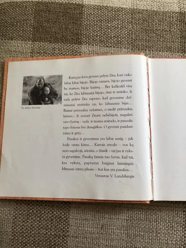 Pelytė Zita - Vytautas Landsbergis, knyga 4