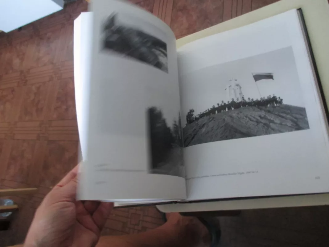 Lietuvos laisvės sąjūdis - Autorių Kolektyvas, knyga 4