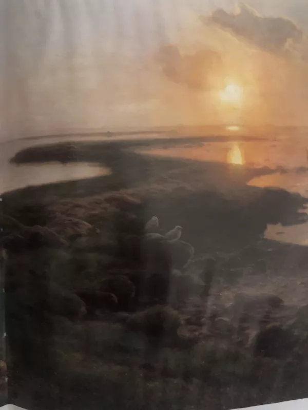 Vakarų Europos tapyba - Autorių Kolektyvas, knyga 3