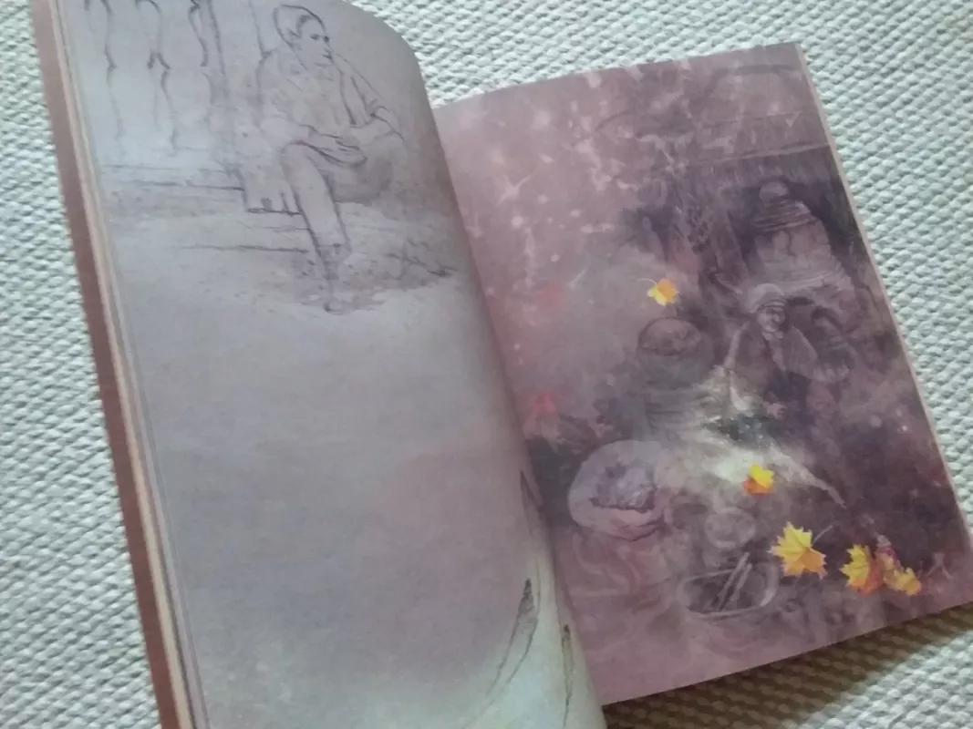 Kodėl miške švilpauti negalima - Linas Bitvinskas, knyga 4