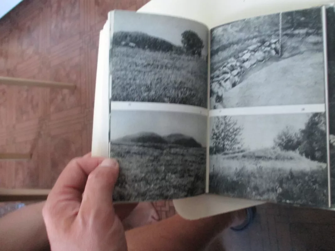 Dubingiai - Autorių Kolektyvas, knyga 3