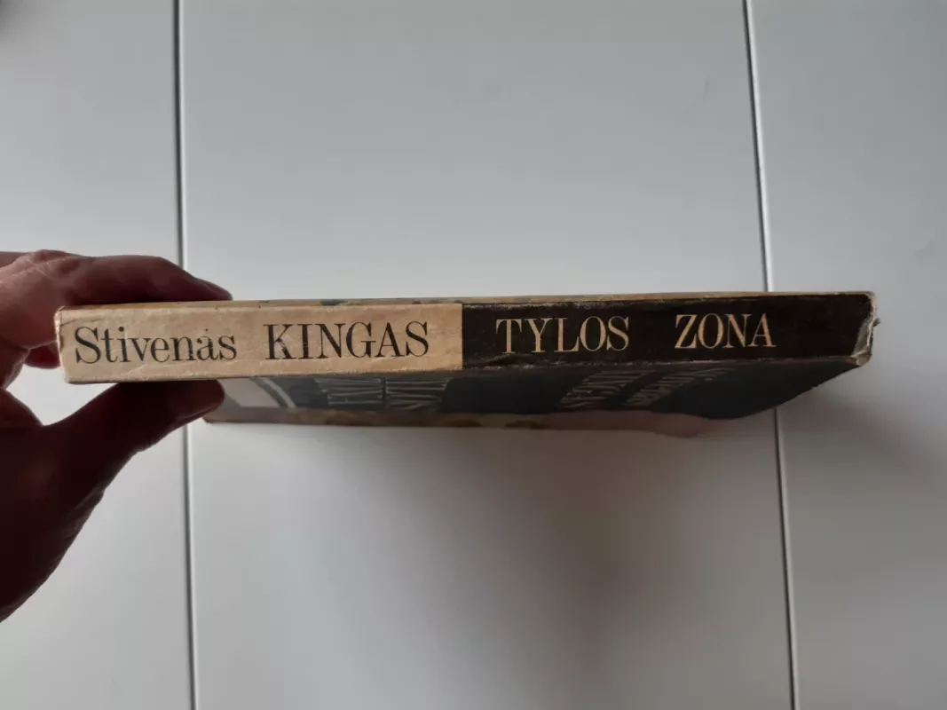 Tylos zona - Stephen King, knyga 3