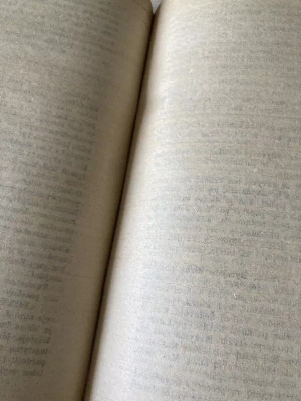 Nemarus mirtingasis: Arkivyskupas Teofilijus Matulionis - Pranas Gaida, knyga 4