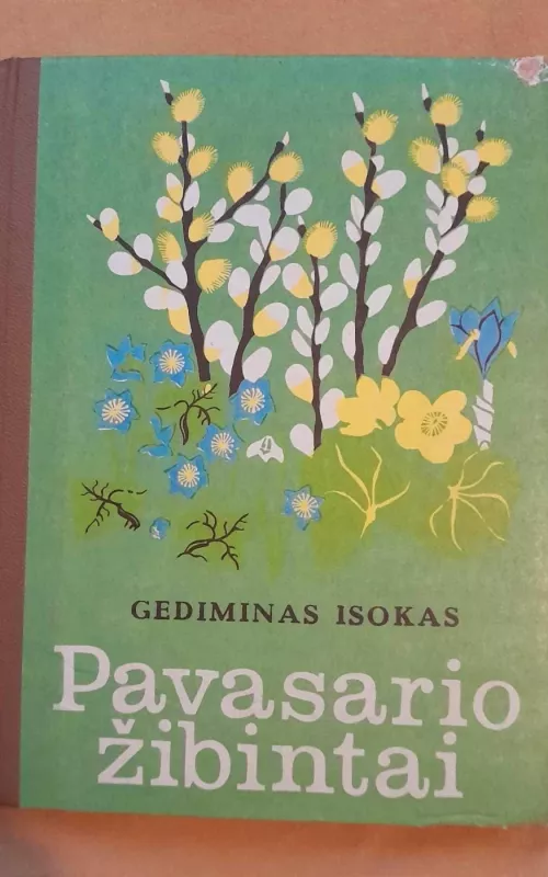 Pavasario žibintai - Gediminas Isokas, knyga