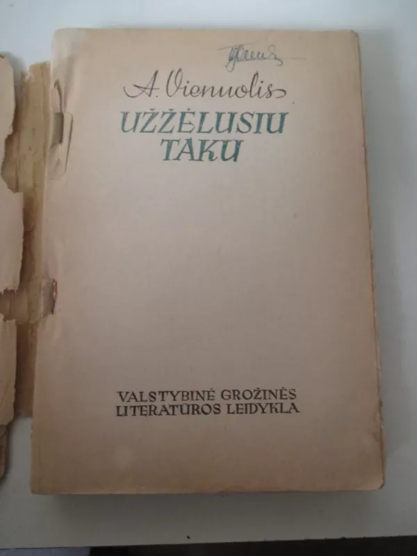 Užžėlusiu taku - A. Vienuolis, knyga 3