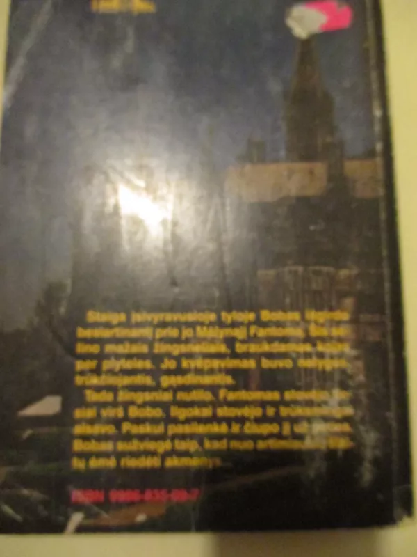 Siaubo pilies paslaptis - Robertas Arturas, knyga 5