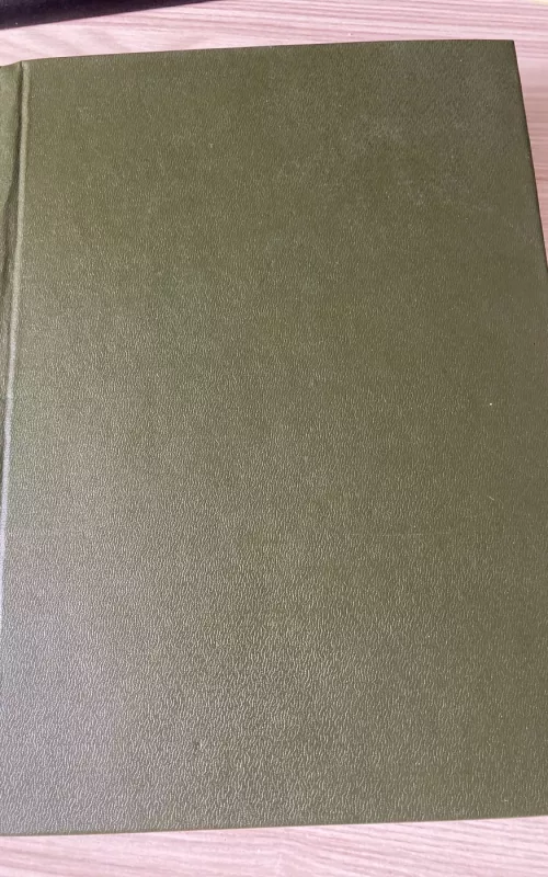 Nemarus mirtingasis: Arkivyskupas Teofilijus Matulionis - Pranas Gaida, knyga 2