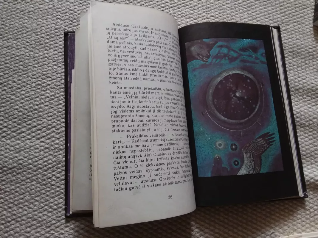 Žvaigždė, kurios krūtinėje kažkas tuksėjo - Grozdana Olujič, knyga 4