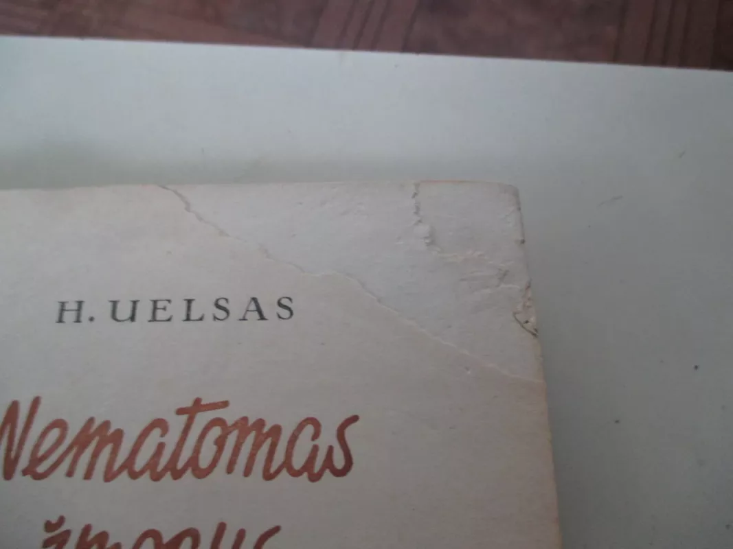 Nematomas žmogus - H. Uelsas, knyga 4