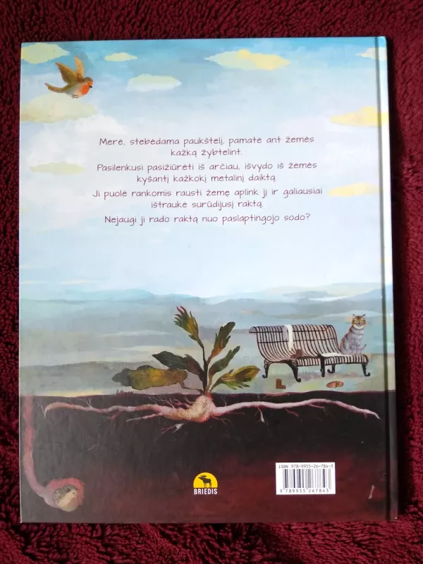 Paslaptingas sodas - Autorių Kolektyvas, knyga 4