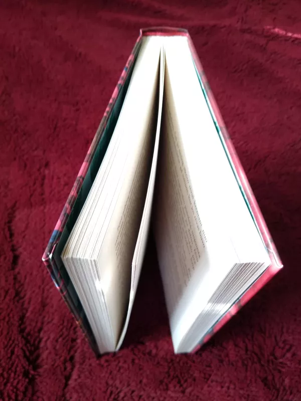 Melų medis - Frances Hardinge, knyga 3