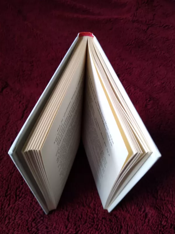 Ričis. Kaip ištverti savo pakvaišusią šeimynėlę - Antje Szillat, knyga 3