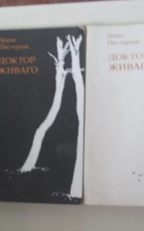 Доктор Живаго (2 тома) - Борис Пастернак, knyga 2