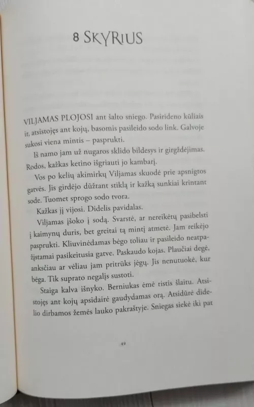 Viljamas Ventonas Luridijaus vagis, 1 knyga - Bobbie Peers, knyga 5