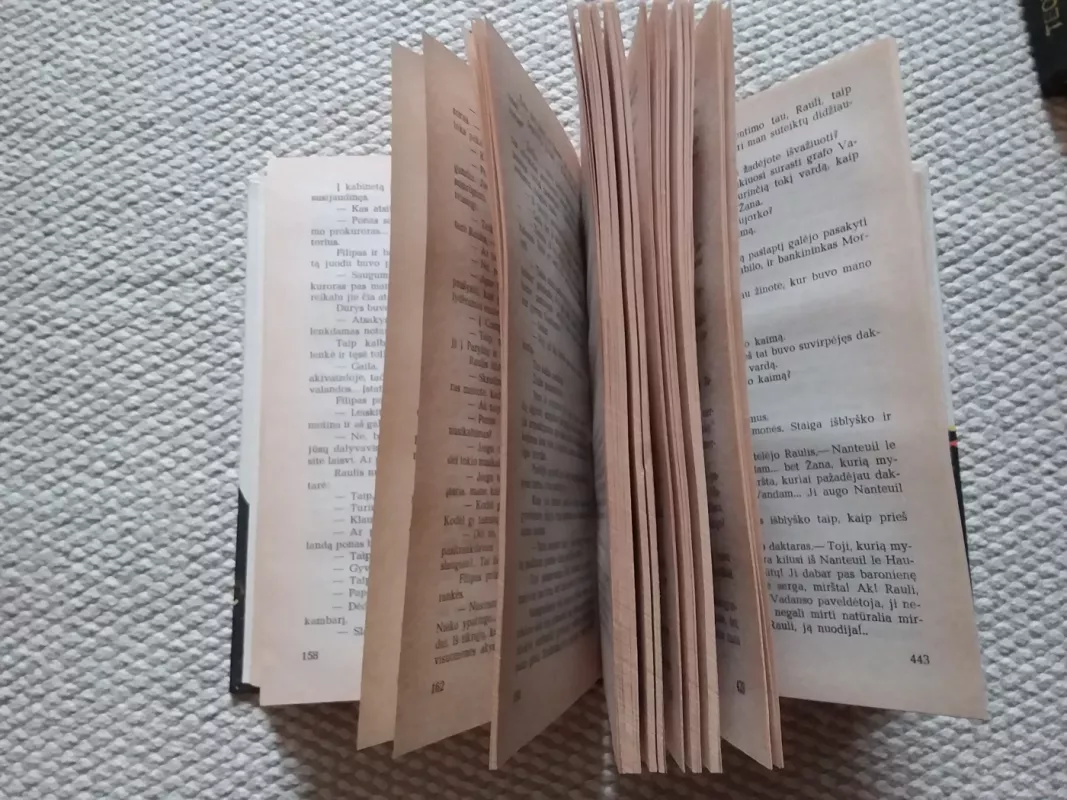 Grafaitė Žana - Ksaveris de Montepinas, knyga 3