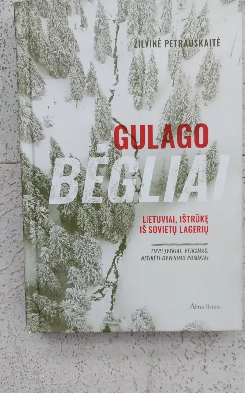 Gulago bėgliai - Žilvinė Petrauskaitė, knyga 2