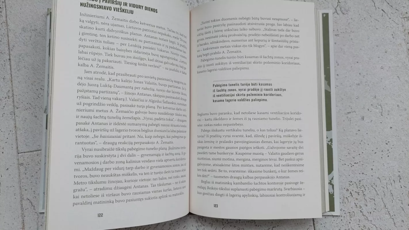 Gulago bėgliai - Žilvinė Petrauskaitė, knyga 6