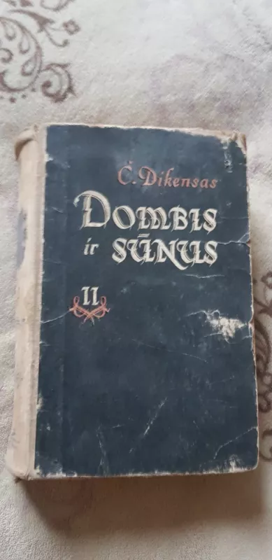 Dombis ir sūnus (II tomas) - Charles Dickens, knyga 2
