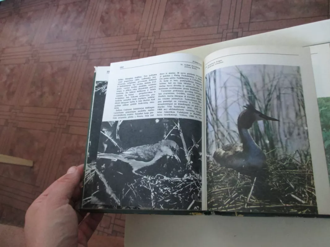 Pasaulio paukščiai - Tadas Ivanauskas, knyga 4