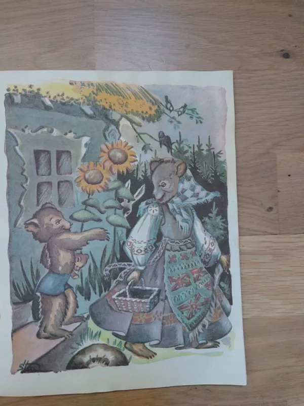 Meškiukas Rudnosiukas - Vytė Nemunėlis, knyga 3