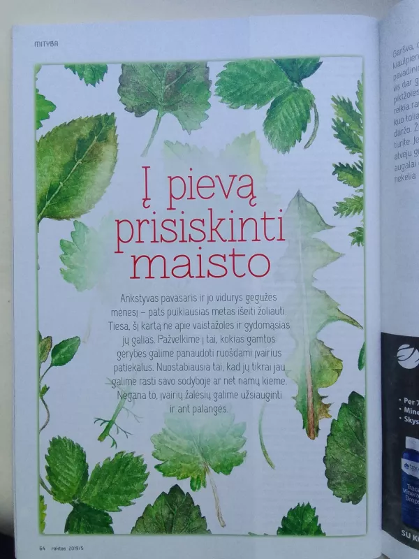 Raktas 2019 gegužė Nr. 152 - Autorių Kolektyvas, knyga 6