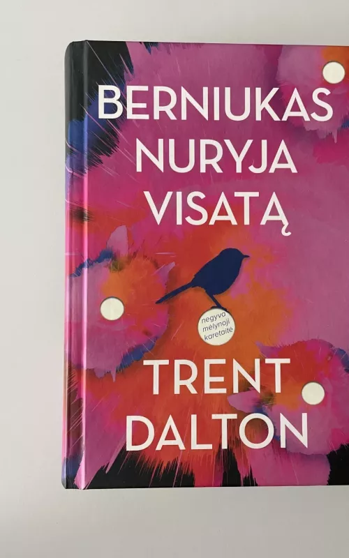 Berniukas nuryja visatą - Trent Dalton, knyga