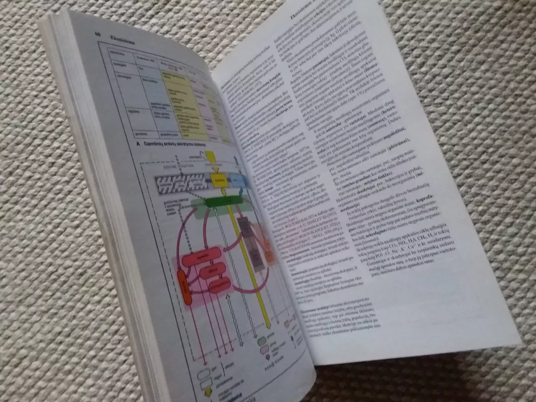 Ekologijos atlasas - Dieter Heinrich, knyga 3