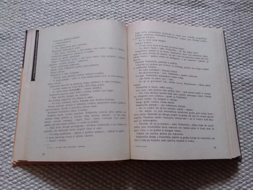 Devyni broliai. Gruzinų pasakos - Autorių Kolektyvas, knyga 3