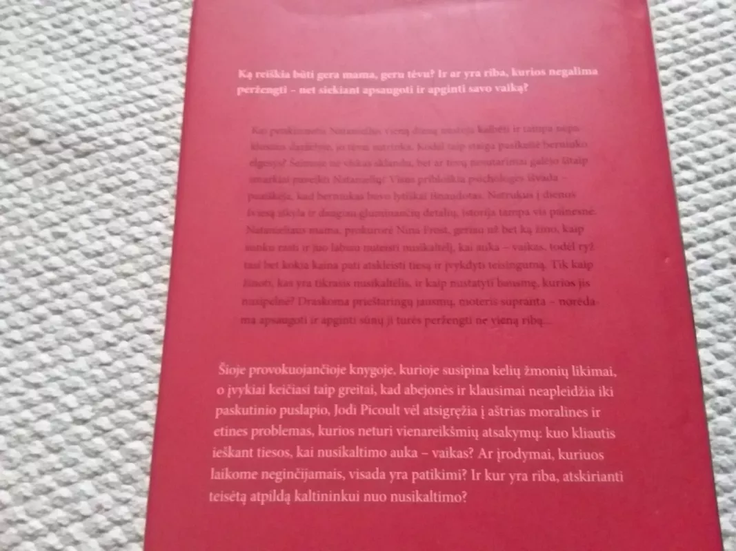 Lemtingas sutapimas - Jodi Picoult, knyga 5