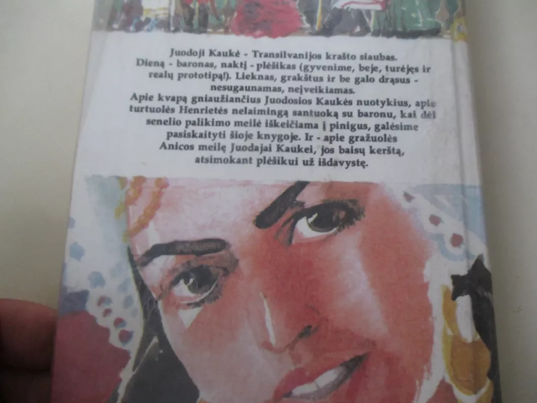 Juodoji kaukė - Moras Jokajus, knyga 4