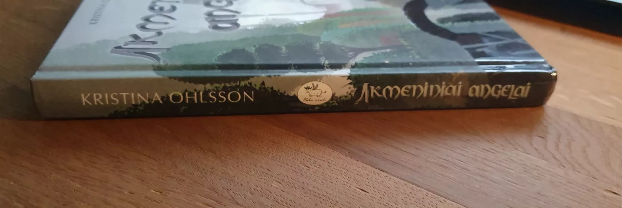 Akmeniniai angelai - Ohlsson Kristina, knyga 4