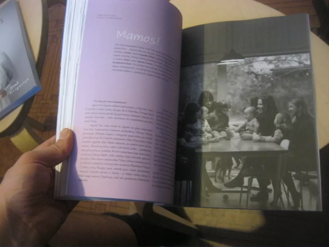 Lamų slėnis 2021 ruduo - Autorių Kolektyvas, knyga 5