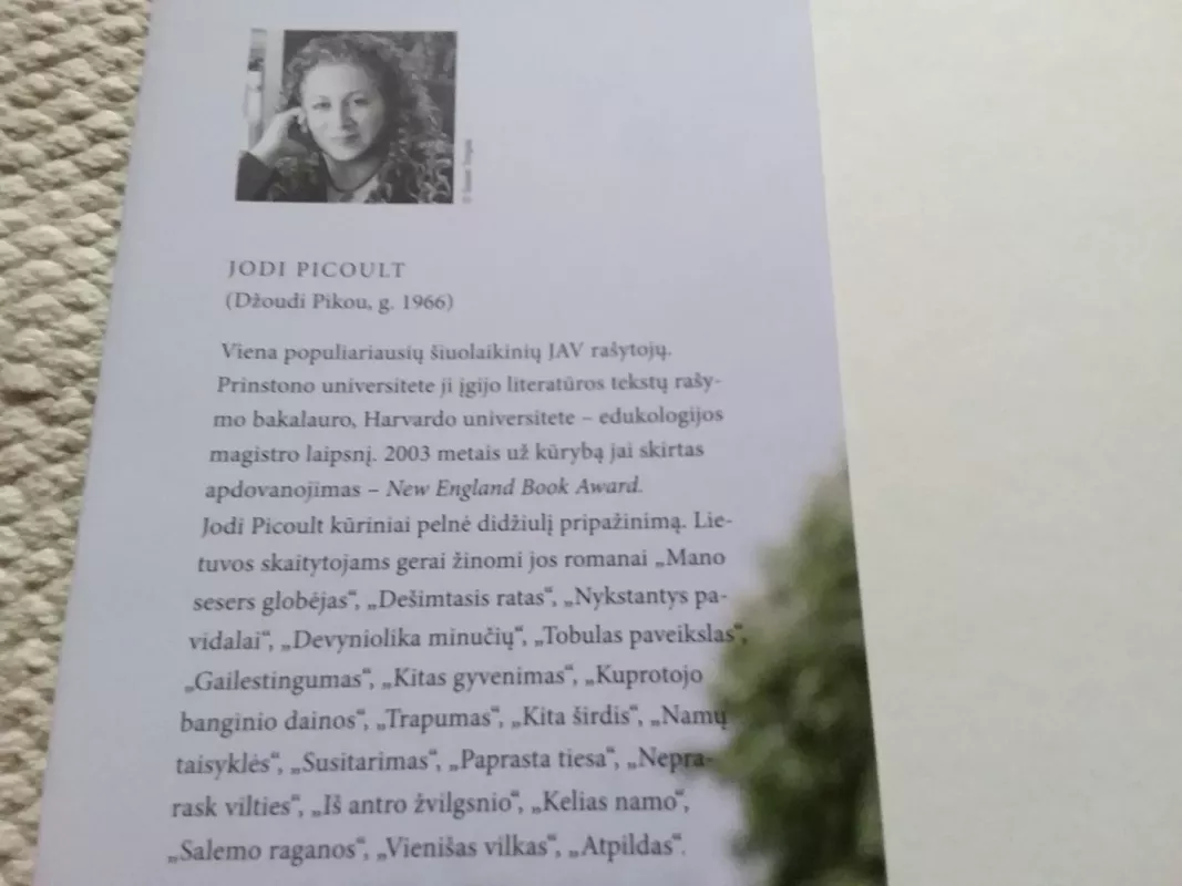 Lemtingas sutapimas - Jodi Picoult, knyga 3