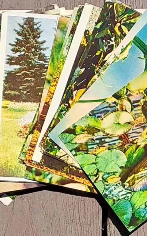 Botanikos sodas - Autorių Kolektyvas, knyga 5