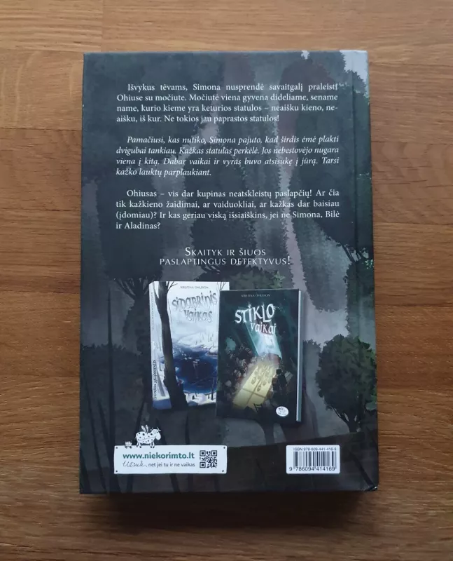 Akmeniniai angelai - Ohlsson Kristina, knyga 3